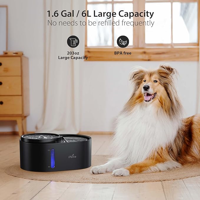 iPettie Waterfall Dog Water Fountain, Hygienic 5-Stage Filtered Water, 2 Heights to Drink from, Water Shortage Alert, Night Light with ON/Off Switch, Cat Water Fountain 203 OZ (1.6 GAL) 6 L