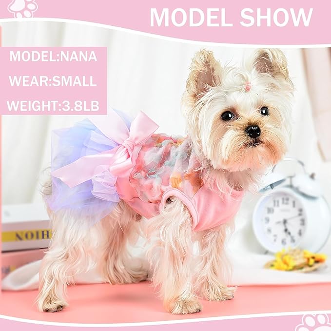 Dog Dress for Spring Summer, Small Dogs Girl Skirt Female Puppy Dresses Pet Yorkie Chihuahua Tulle Dress,Birthday Party Lace Costume Tutu Apparel
