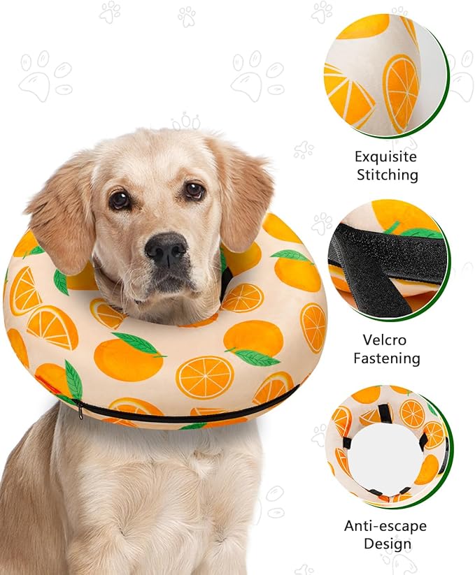 MIDOG Inflatable Dog Cone Alternative for After Surgery - Soft Protective Donut Collar Prevents Licking, Comfortable Recovery E-Collar Alternative for Small Medium Large Dogs (Orange,M)