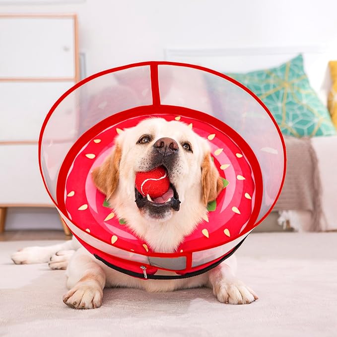 Inflatable Dog Cone Collar for Large Medium Small Dogs, Soft Dog Donut Collar Adjustable Recovery Cone for Pets After Surgery, Extra Enhanced Anti-Licking Guard Shield for Pets (Medium, Strawberry)