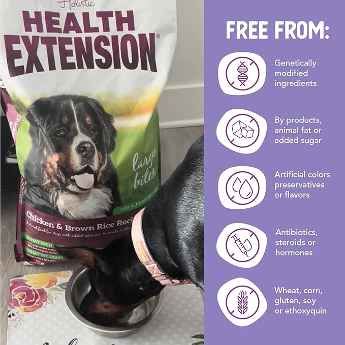 Health Extension Large Bites Chicken & Brown Rice Dry Dog Food (30 lb / 13.61 kg) - Protein-Rich Formula with Probiotics & Essential Nutrients for Larger Breeds