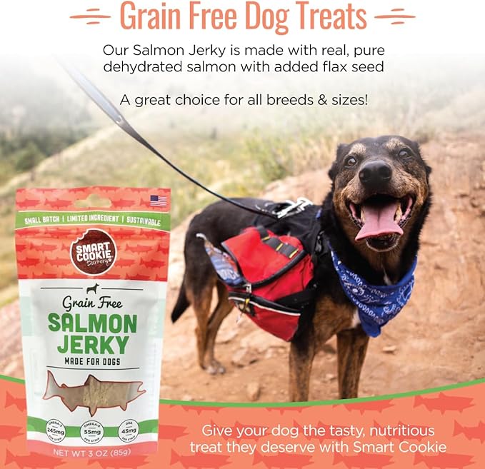 Smart Cookie Salmon Jerky Dog Treats - DHA, Omega Strips for Dogs & Puppies with Allergies, Sensitive Stomachs with Wild Caught Alaskan Salmon- Dehydrated, Grain Free, Made in USA - 3oz Bag, Pack of 3