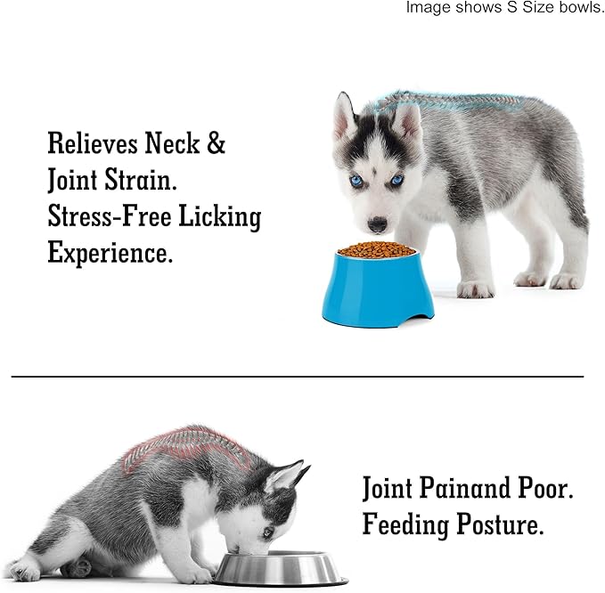 Dog Bowls,Cone Friendly Non Slip Single Dog Bowl with Stainless Steel Inner, Raised Bowls for Small Dogs Spaniel Dogs Long Ear, High Capacity, M/2 Cup Blue