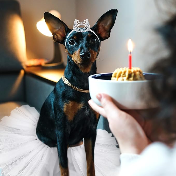 2 Pcs Dog Crown Headband Dog Tutu Dress Set Crystal Rhinestone Tiara Crown Tutu Skirt Pet Dress Costume for Puppy Birthday Party Wedding Photo Prop Costume(X-Large,White)