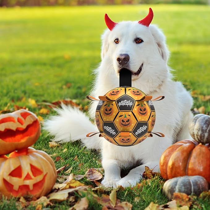QDAN Halloween Dog Toys, Soccer Balls, Interactive Pet Toys, Puppy Dogs Birthday Gifts, Durable Dog Balls for Small Medium Dogs（6 Inch）