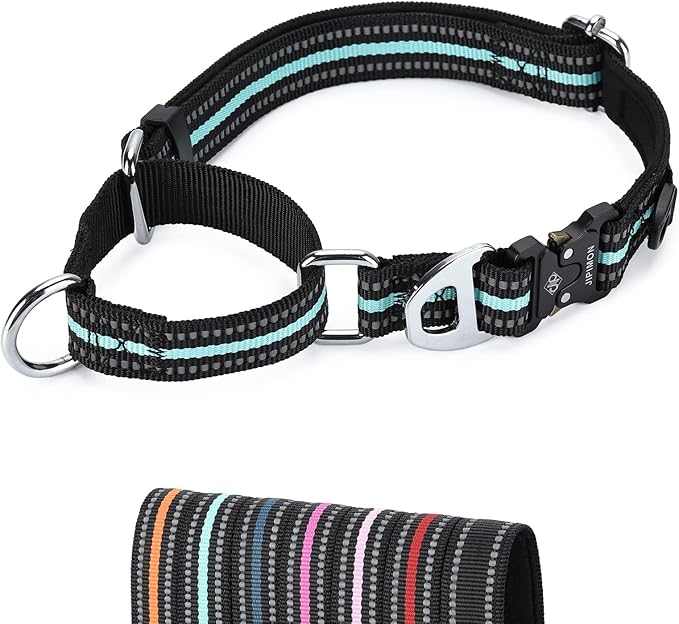 Martingale Dog Collar Reflective Nylon Soft Cushion with Alloy Buckle Dog Collar Martingale Small Medium and Large Dogs (Large, Teal)