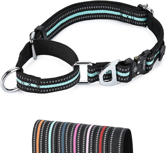 Martingale Dog Collar Reflective Nylon Soft Cushion with Alloy Buckle Dog Collar Martingale Small Medium and Large Dogs (Large, Teal)