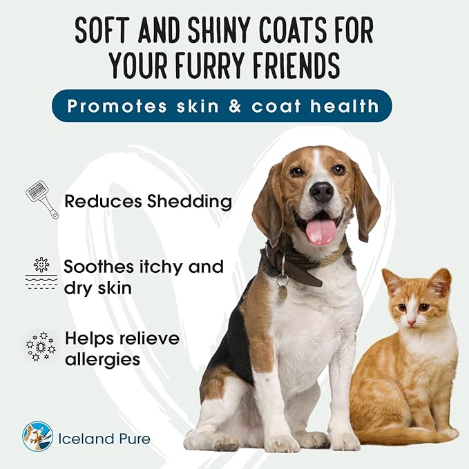 Wild Alaskan Salmon Oil for Dogs and Cats by Iceland Pure | 1,043 mg of Omega-3 per Teaspoon | Salmon Oil & Pollock Blend | BPA-Free Brushed Aluminum Epoxy Coated Bottle with Pump - 8.75 oz