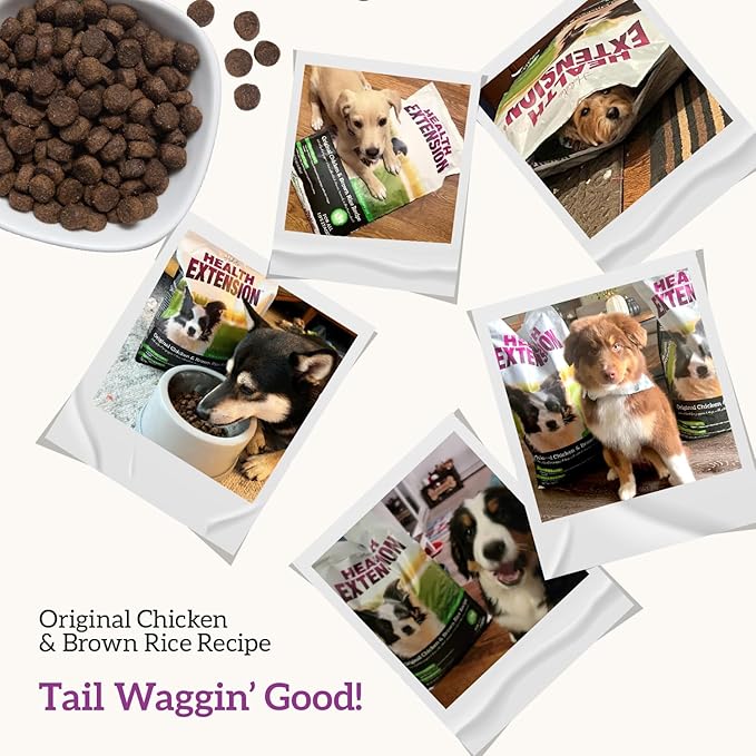 Health Extension Original Chicken & Brown Rice Dry Dog Food (40 lb / 18.14 kg) - Protein-Packed Formula with Probiotics, Omega 3 for Holistic Health in Dogs of All Life Stages