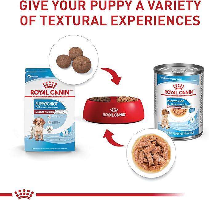 Royal Canin Size Health Nutrition Medium Puppy Thin Slices in Gravy Dog Food, 13 oz (Pack of 12)