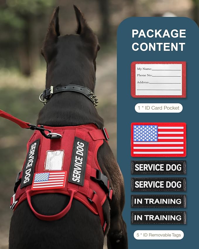 FAYOGOO Tactical Dog Harness for Large Dogs - Dog Harness Escape Proof with Handle - No Pull Military Service Dog Vest with Removable Patches for Walking,Training (Red, L(Chest:27-32"))