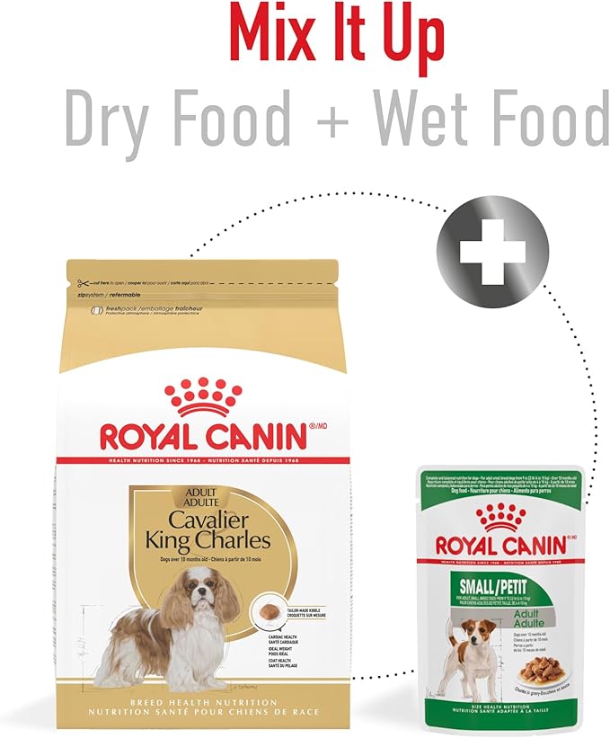 Royal Canin Cavalier King Charles Spaniel Adult Breed Specific Dry Dog Food, 10 lb bag