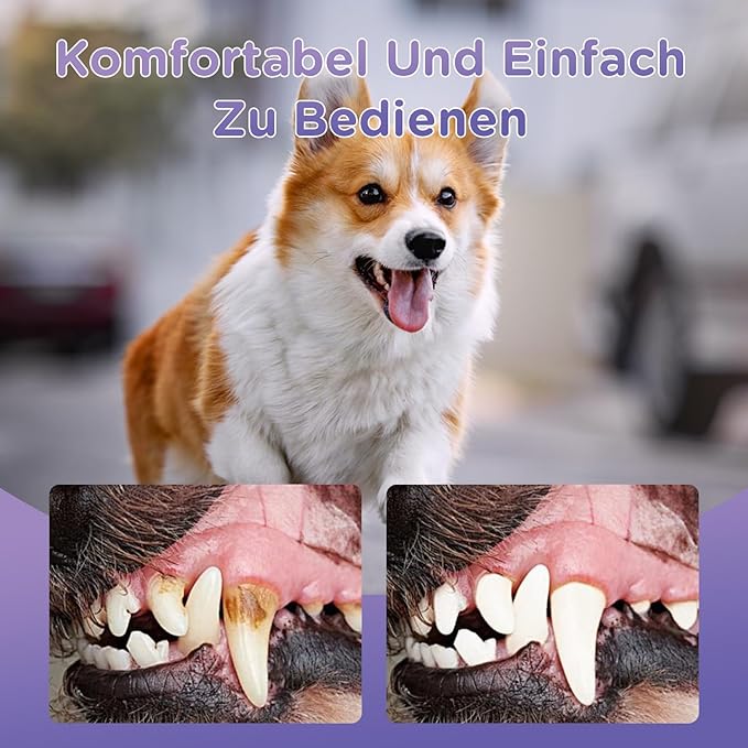 6Pcs Pet Oral Repair Gel, Dog Oral Repair Gel, Pet Breath Freshener for Cats and Dogs, Removes Tartar, Keeps Breath Fresh, Strengthens Teeth,No Brushing Oral Care Cleaner,3ML