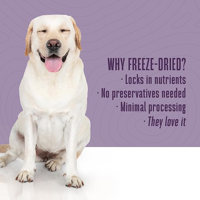 Whole Life Dog Just One Salmon Freeze Dried Dog Treats - Human Grade High Protein Food, Healthy Training Snacks, Freeze Dried Salmon Food Toppers, USA Made Natural Treats - 8 oz (Value Pack of 1)