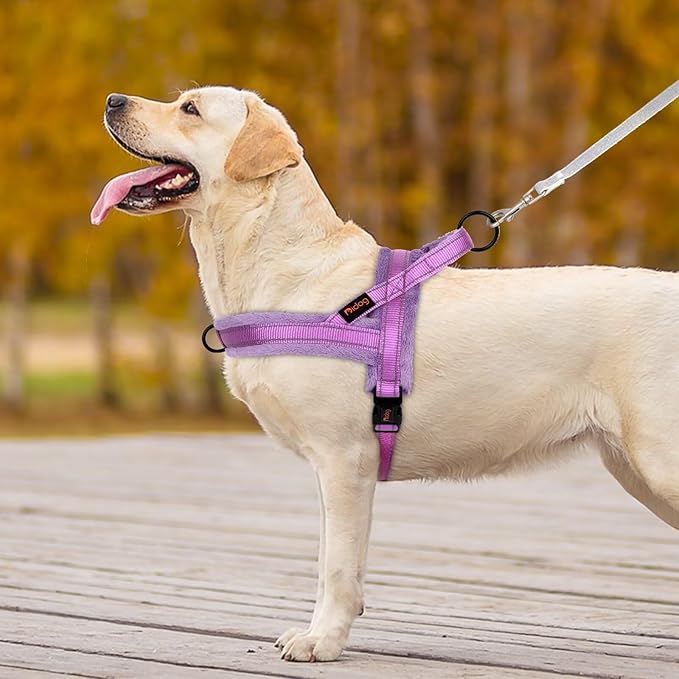 Didog Soft Flannel Padded Dog Vest Harness, No Pull/Quick Fit Reflective Dog Strap Harness, Easy for Training Walking (S:Chest 18-22", Purple)