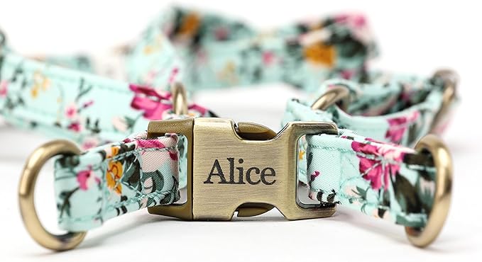 Angie and Allie Organic Cotton Personalized Step in Dog Harness,Custom Dog Halter Vests,Adjustable No Pull Canine Halter Harness for Small Medium Large Dogs