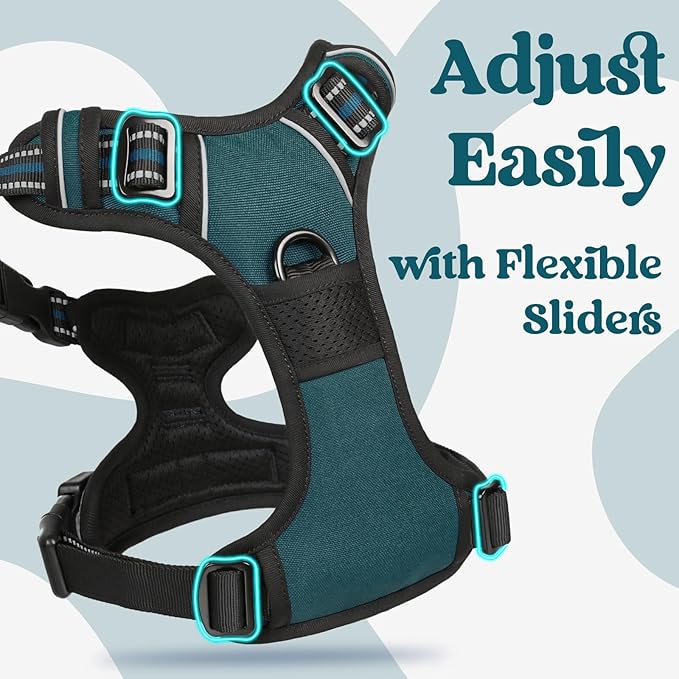 rabbitgoo Dog Harness for Large, No Pull Pet Harness with 3 Buckles, Adjustable Soft Padded Vest with Control Handle, Walking Reflective Pet Vest for Extra Large Dogs,Blue Coral,XL