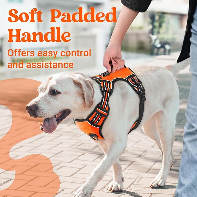 rabbitgoo Dog Harness Small Sized Dog, No Pull Pet Harness with Soft Padded Handle, Adjustable Reflective Vest with 3 Buckles, Easy Walking Harness with 2 Leash Clips, Orange, S