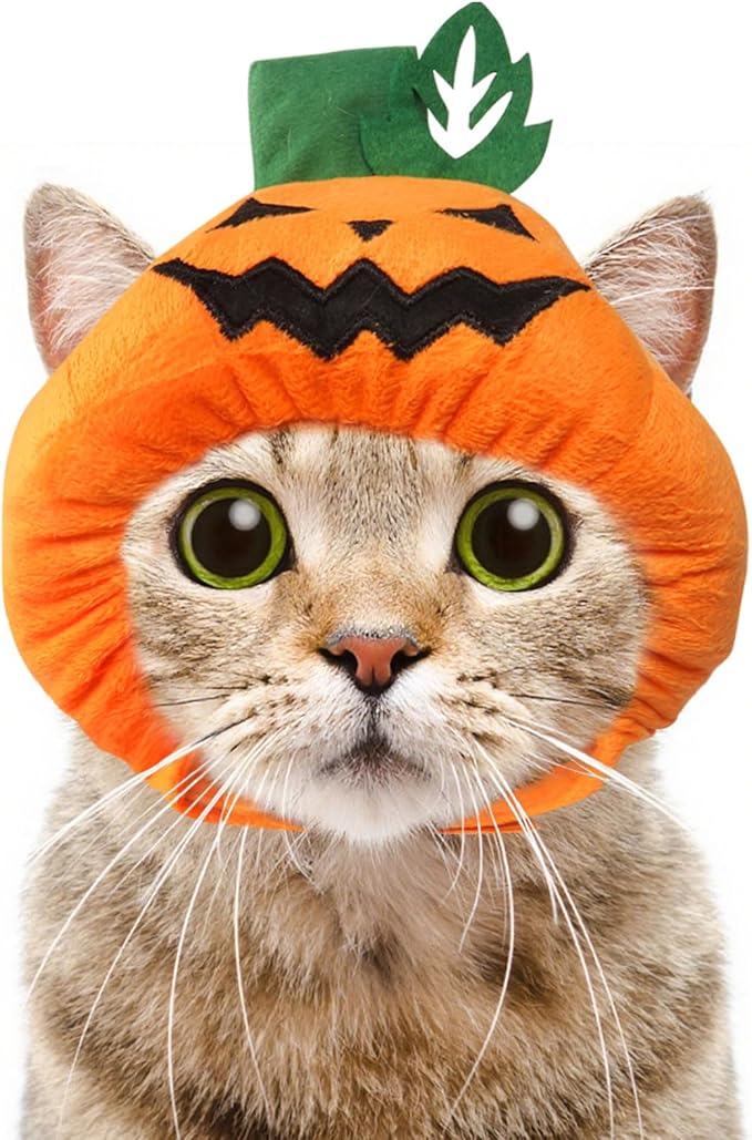 ABTOLS Halloween Dog Cat Pumpkin Shape Hat, Adjustable Soft Small Pet Orange Pumpkin Cap Headwear for Puppy Dogs Kittens Halloween Festival Cosplay Costume Accessory Headgear