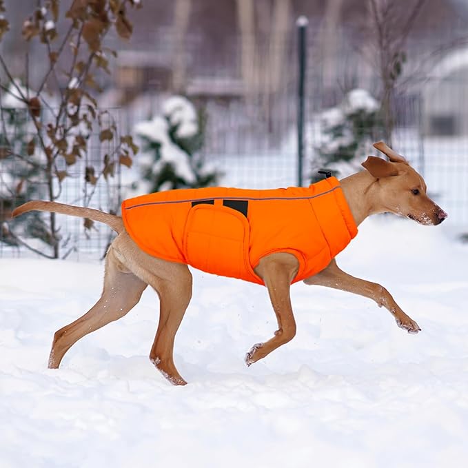 Kuoser XXXL Dog Coat, Dog Jackets for Large Dogs, Reflective Pet Winter Coat Cold Weather Coats, Doggie Snow Jacket Warm Apparel Clothes for Great Dane, Orange XXXL
