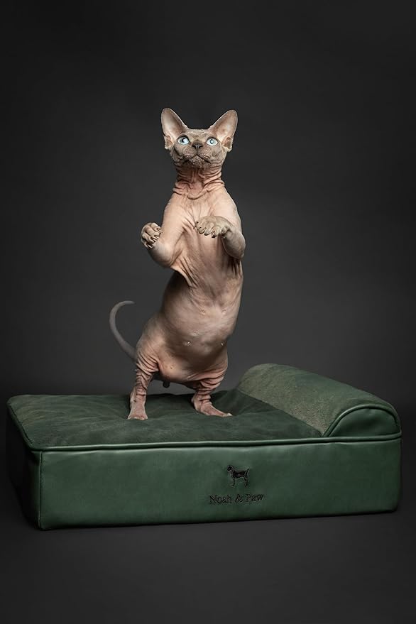 NOAH & PAW Small Dog Bed, 20x15x6.5 Inch, Cat Bed for Indoor Cats, Orthopedic Eggshell Memory Foam Infused with Cooling Gel, Waterproof, Machine Washable, Includes Inner Cover (Faux Leather)