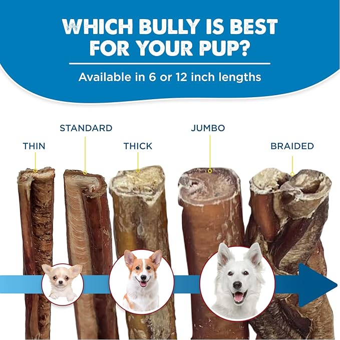 Best Bully Sticks 4 Inch Bully Sticks - 16 oz (Pack of 1) - 100% Natural Grass-Fed, Grain and Rawhide Free, Ideal for Small or Young Canines