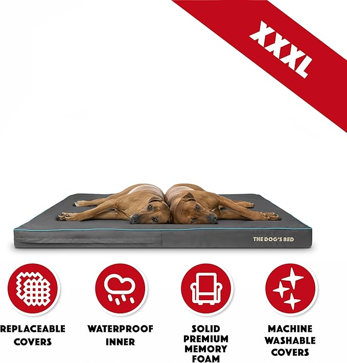 The Dog’s Bed Orthopedic Memory Foam Dog Bed, XXXL Grey/Blue 64x44x4, Pain Relief for Arthritis, Hip & Elbow Dysplasia, Post Surgery, Lameness, Supportive, Calming, Waterproof Washable Cover