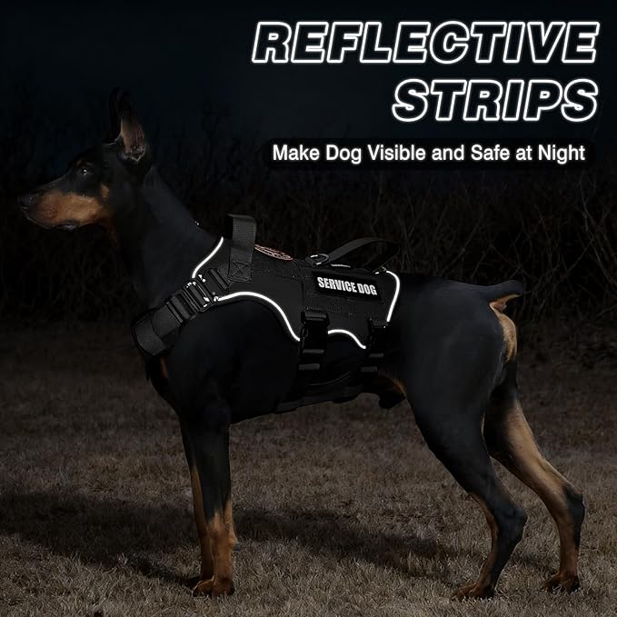 Tactical Service Dog Vest and Leash Set,Heavy Duty Harness with Metal Buckles for Large Dogs,Adjustable No Pull Pet Vest with 10 Patches,for Training Working Hiking,Black L