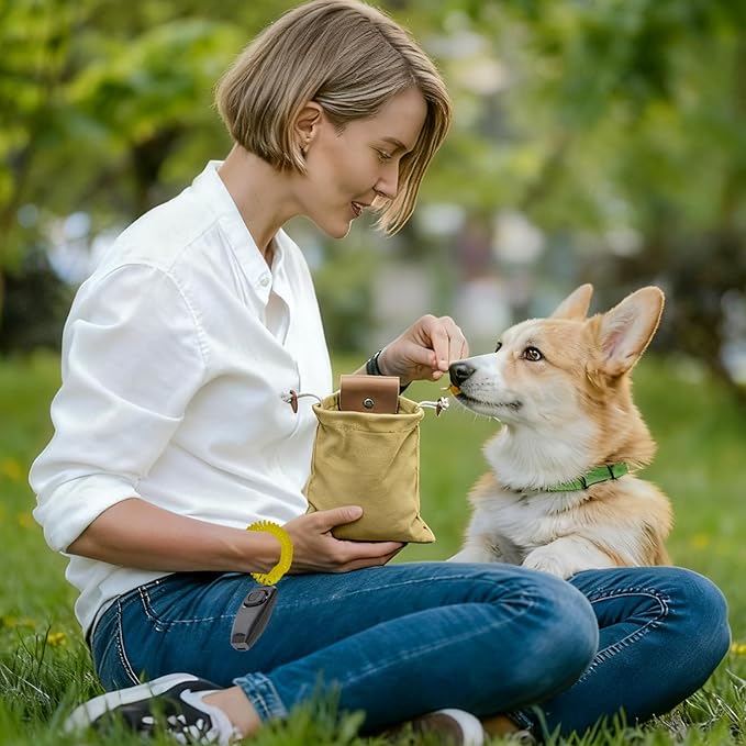 Dog Treat Pouch with Training Clicker & Whistle - Stylish & Portable Large-Capacity Foldable Pet Training Pouch with Wlastic Belt for Outdoor Use/Pet Training (Black)