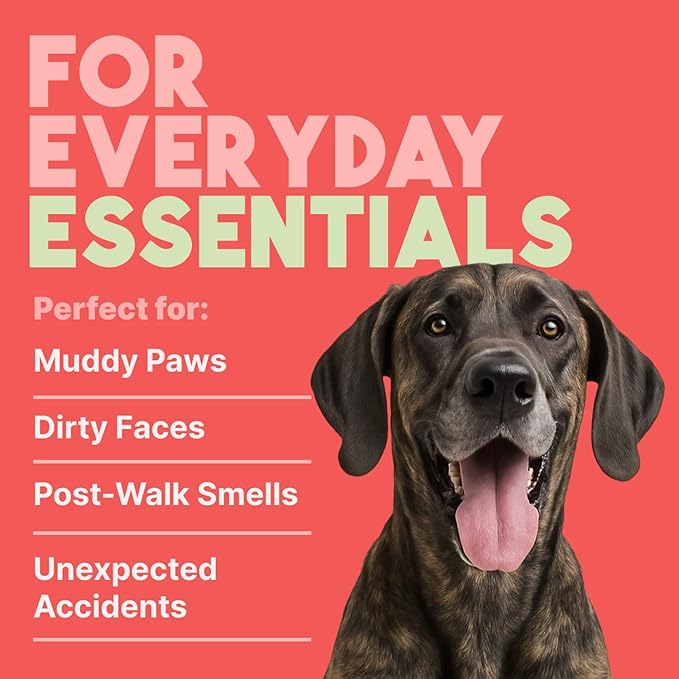 TropiClean Watermelon Dog Wipes for Paws and Bottom | Deep Cleaning Dog Grooming Wipes | Safe for The Face | Cat Friendly | 100 Count