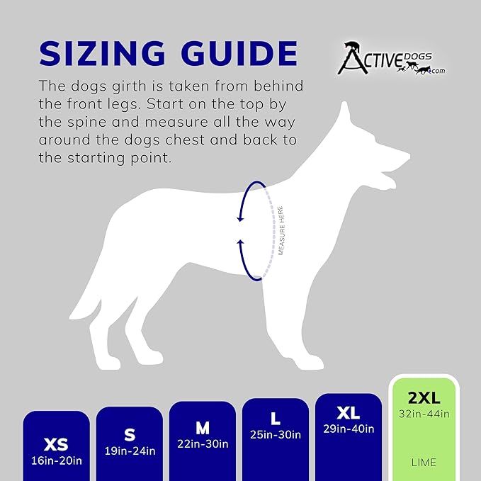 ActiveDogs Full Service Dog Kit - 2XL Lime Vest Harness With Handle, ID, ID Holder, ADA Cards, Medical Alert Keychain, Leash & Patches