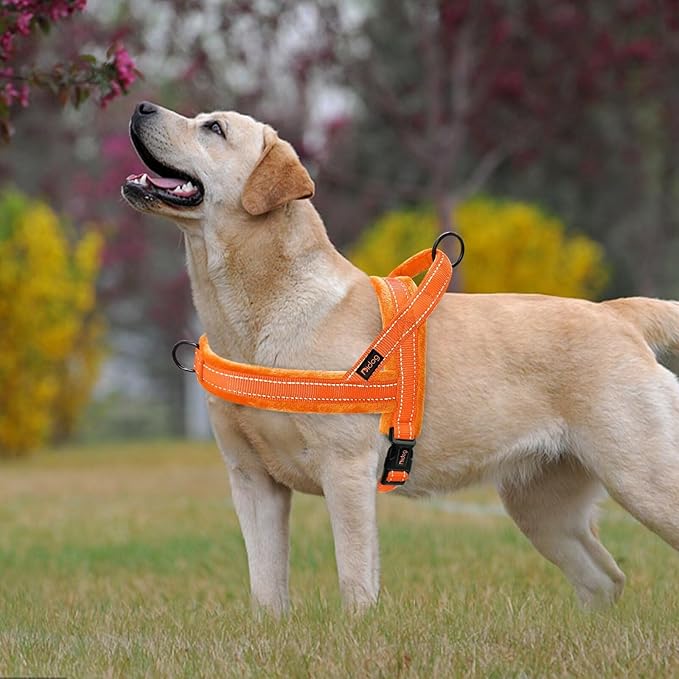 Didog Soft Flannel Padded Dog Vest Harness, No Pull/Quick Fit Reflective Dog Strap Harness, Easy for Training Walking (L:Chest 26-32", Orange)