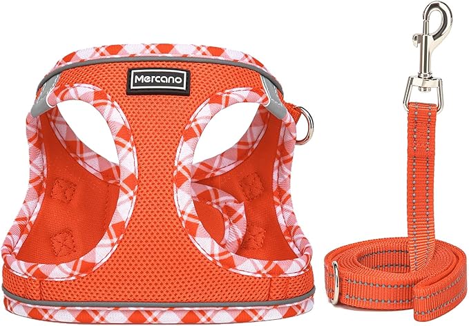 Mercano Soft Mesh Dog Harness and Leash Set, No-Chock Step-in Reflective Breathable Lightweight Easy Walk Vest Harnesses with Safety Buckle for Small Dogs, Cats (Tangerine, XS)
