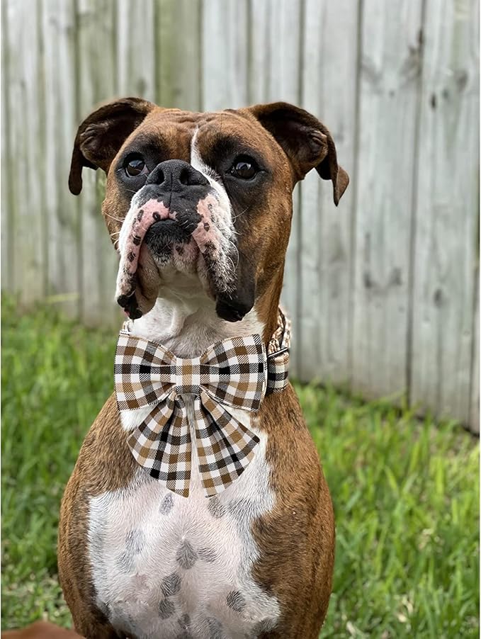 Unique style paws Christmas Dog Collar with Bow Tie Brown Plaid Puppy Collar for Small Medium Large Dogs as Autumn Winter Pet Gifts-M