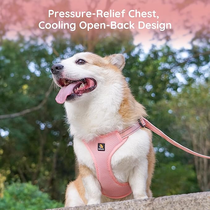 BELLA & PAL Adjustable Step-in Dog Harness, Puppy No-Pull Vest with Leash Set for XS/Small & Medium Dog, Breathable All-Weather Mesh, Reflective Strip, Secure Hook & Loop, Buckle Closure, Dual D-Rings