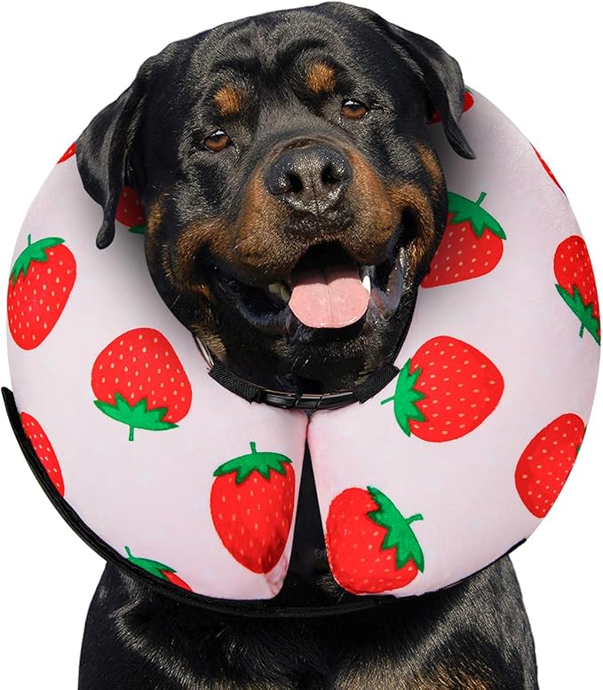 MIDOG Inflatable Dog Cone Alternative for After Surgery - Soft Protective Donut Collar Prevents Licking, Comfortable Recovery E-Collar Alternative for Small Medium Large Dogs (Strawberry,XL)