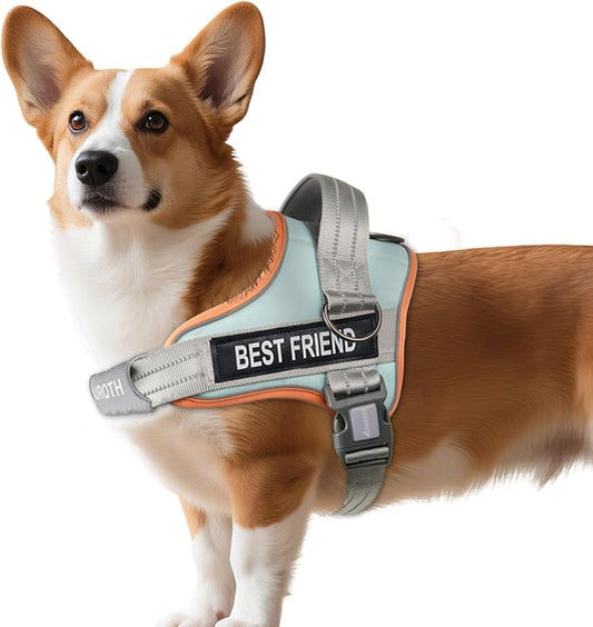 AUROTH Dog Harness No Pull Soft Padded Service Dog Vest, No Choke, Easy On Pet Vest with Handle, Adjustable Reflective Dog Harness for Small, Medium and Large Dogs, Easy Walking and Training