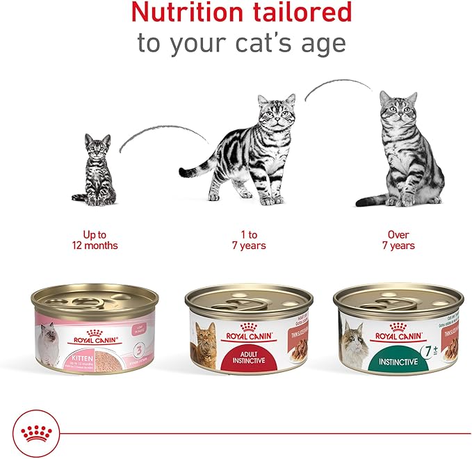 Royal Canin Feline Health Nutrition Adult Instinctive Adult Thin Slices in Gravy Cat Food, 3 oz (Pack of 24)