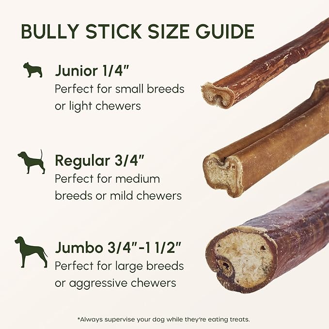 Downtown Pet Supply 6-inch Bully Sticks for Dogs, Pack of 10 - Single Ingredient, Nutrient-Rich and Odor Free Bully Sticks for Dogs - Rawhide Free Dog Chews Long Lasting and Non-Splintering