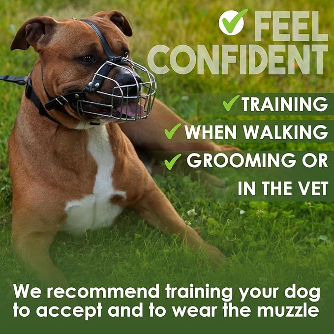 BRONZEDOG Dog Muzzle Wire Basket Metal Mask for Small, Medium and Large Dogs, Breathable, Dog can Drink, Adjustable, Padded, Training, Prevents Biting (Size 4: Pitbull & Amstaff)