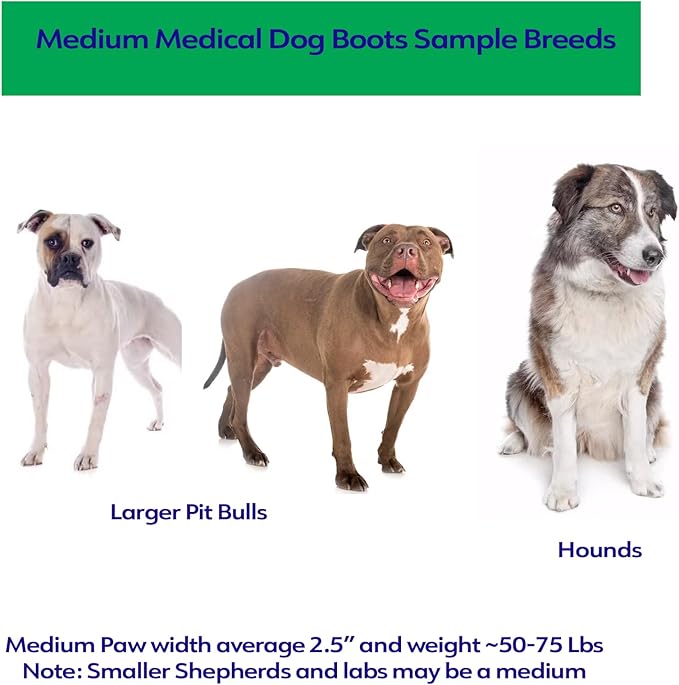 Healers Petcare Medical Dog Bootie for Wound Care & Paw Protection, Single Boot (Blue) - Non-Slip Sole, Breathable Fabric, Vet Approved (Medium)