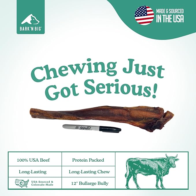 BARK'N BIG 12 Inch Monster Bully Sticks for Large Dogs - Colossal Bullarge Size - Made in USA - Single Ingredient Dog Chew - Super Premium Pizzle Sticks - Jumbo Beef Pizzles for Large Breeds - 1 ct