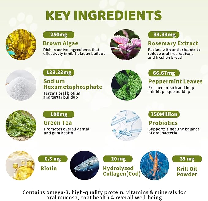 Dog Teeth Cleaning Powder, Dog Dental Powder for Dog Breath Fresh and Teeth Cleaning, Targets Tartar & Bad Breath with 750 Million Probiotics. Plaque Off Dental Care Formulated for Small Dogs (80g)