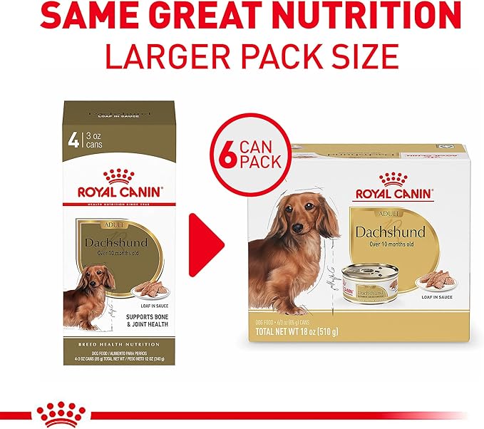 Royal Canin Breed Health Nutrition Dachshund Adult Loaf in Sauce Dog Food, 3 oz (Pack of 6)