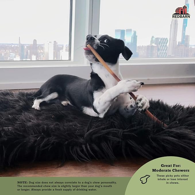 Redbarn Pet Products 9" Bully Sticks for Dogs, Pack of 50