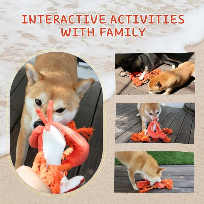 Lobster Dog Toys, Large Squeaky Rope Tug of War Dog Toys for Puppy, Small, Medium, Large Dogs, Interactive Stuffed Plush Toys