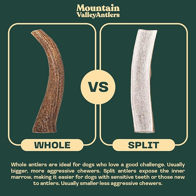 Mountain Valley Elk Antlers for Dogs - 100% Natural & Organic Chew for Aggressive Chewers, No Odor, No Mess, Long Lasting - Wild-Foraged Naturally Shed Antlers in USA - Grade A, Split Large (1 Pack)
