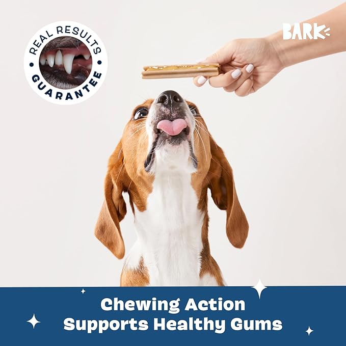 Barkbox Bright Original Dog Dental Kit, 30 Teeth Cleaning Chew Sticks & Toothpaste - Medium Breeds