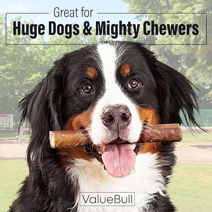 ValueBull Bully Sticks for Large Dogs, Super Jumbo 6 Inch, 25 Count - All Natural, Grass Fed, Single Ingredient, Long Lasting Dog Treats for Aggressive Chewers