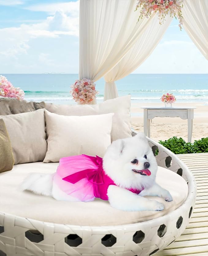 Summer Girl Dog Dress, Dog Silk Tulle Dress, Cute Princess Dogs Dresses with Bow, Lace Pet Birthday Party Outfit Puppy Tutu for Small Dogs, Fancy Puppy Clothes for Chihuahua Teacup Yorkie